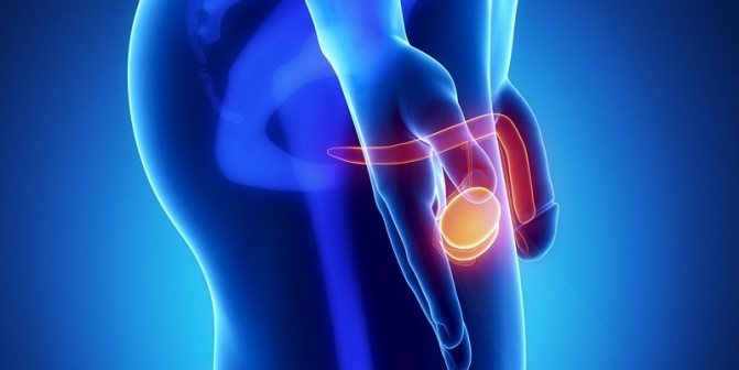 Лечение цистита в Киев