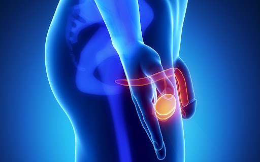 Консультация андролога в Киеве