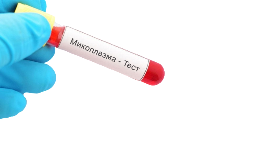 Микоплазма