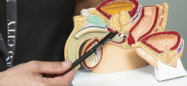 Урология Урология